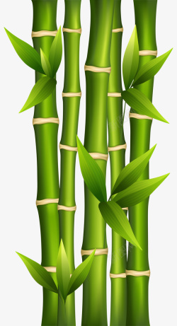 竹竹竿绿色春天竹叶手绘素材