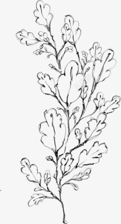 创意春天花边框水墨植物元素15高清图片
