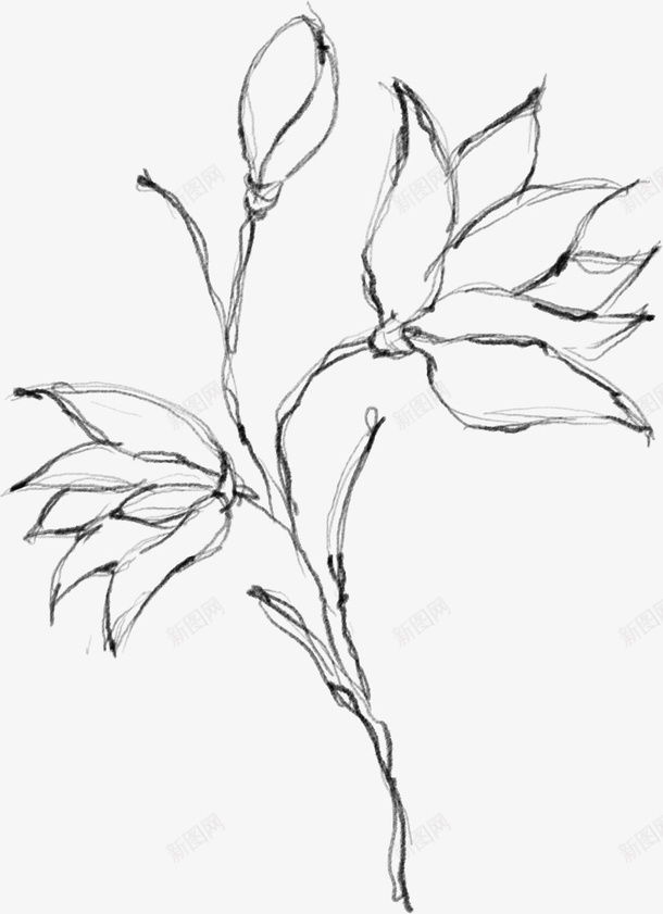 水墨植物元素19png免抠素材_88icon https://88icon.com 万物复苏 中国风 传统风景画 卡通 古典 古风 古风中国风花朵 叶子 手绘鲜花 文艺 时尚创意花朵 春天 春天中国风 杨柳 水墨 水墨山水画 水彩 水彩花朵 清新 花朵 花瓣 踏春水墨花 飘逸 鲜花