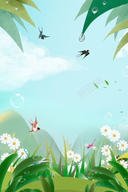小雏菊植物装饰元素图背景