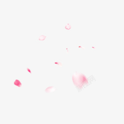漂浮元素粉色花瓣叶子素材