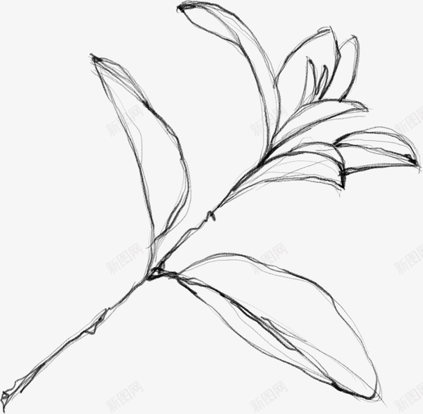 水墨花朵元素71png免抠素材_88icon https://88icon.com 万物复苏 中国风 卡通 古典 古风 古风中国风花朵 叶子 手绘鲜花 文艺 时尚创意花朵 春天 春天中国风 杨柳 水墨 水墨山水画 水彩 水彩花朵 清新 花朵 花瓣 踏春水墨花 飘逸 鲜花