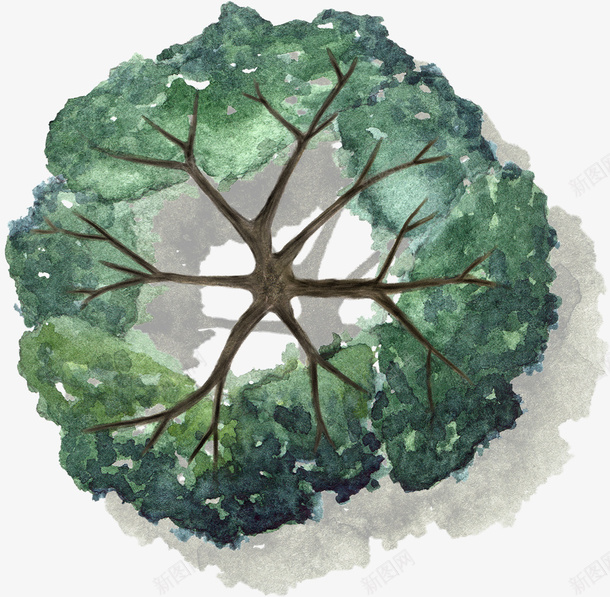 深绿色树干叶子水彩风手绘带投影png免抠素材_88icon https://88icon.com 深绿色 树干 叶子 水彩风 手绘