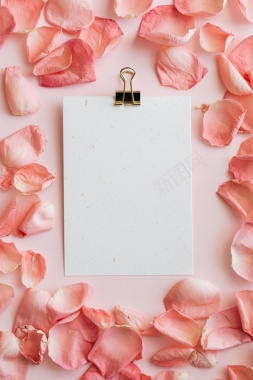 花朵边框玫瑰纸板背景