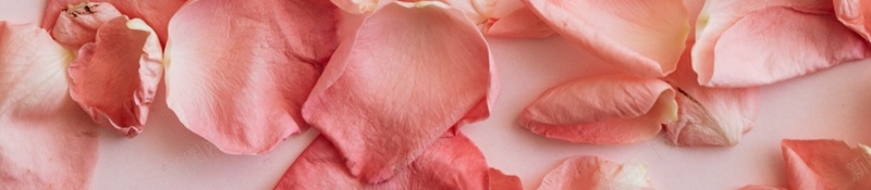 花朵边框玫瑰纸板jpg设计背景_88icon https://88icon.com 花朵 边框 玫瑰 纸板