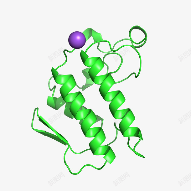 蛋白质与钠离子png免抠素材_88icon https://88icon.com 蛋白质 钠离子 生物分子 生命