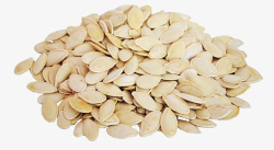 瓜子南瓜子种子南瓜素材