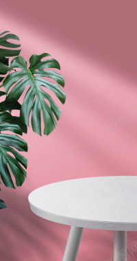 粉色白色桌面背景