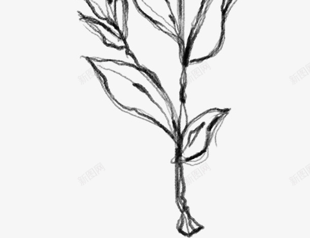 水墨花朵元素48png免抠素材_88icon https://88icon.com 万物复苏 中国风 传统风景画 卡通 古典 古风 古风中国风花朵 叶子 手绘鲜花 文艺 时尚创意花朵 春天 春天中国风 杨柳 水墨 水墨山水画 水彩 水彩花朵 清新 花朵 花瓣 踏春水墨花 飘逸 鲜花