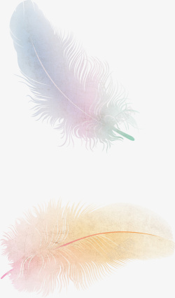 飘逸的羽毛羽毛笔背景装饰素材高清图片