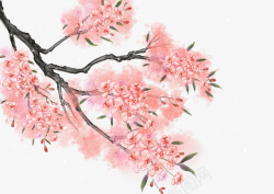 小鸟树枝水彩素材春天樱花树枝绿叶高清图片
