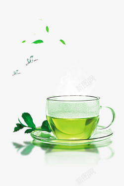 茶道茶叶茶杯绿叶素材