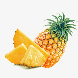 黄色橘子片凤梨菠萝菠萝高清图片
