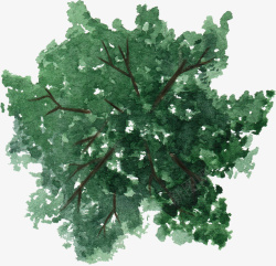 深绿色树冠枝丫水彩风手绘素材