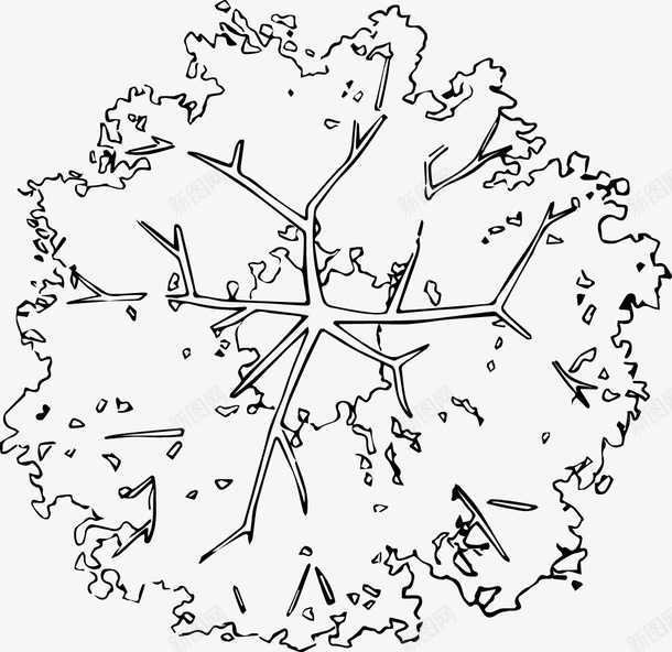 树木枝干黑白风手绘线稿png免抠素材_88icon https://88icon.com 树木 枝干 黑白风 手绘 线稿