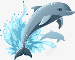 海豚海洋可爱海洋动物萌素材