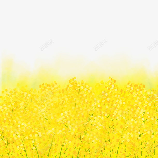 金色装饰油菜花卡通植物黄色元素png免抠素材_88icon https://88icon.com 金色 装饰 油菜花卡通植物 黄色元素