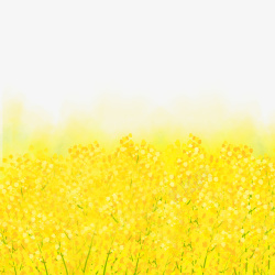 金色装饰油菜花卡通植物黄色元素素材
