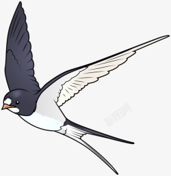 黑色小鸟鸟鸟元素鸟素材鸟装高清图片