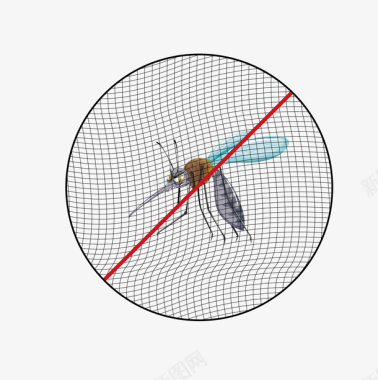 薄荷叶子纱网防蚊虫防虫阻挡蚊子蚊帐图标
