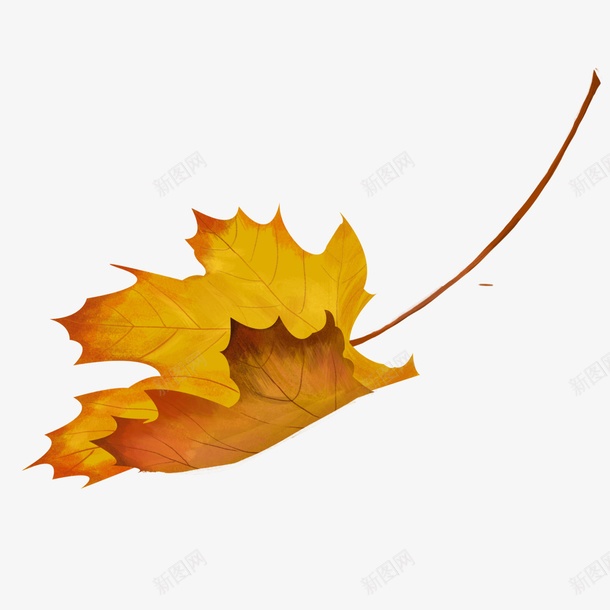 秋天飘落的红色树叶png免抠素材_88icon https://88icon.com 秋 秋天 枫叶 落叶 树叶 红叶