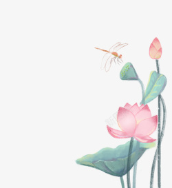 深绿色中国风荷叶荷花中国风手绘荷叶荷花蜻蜓高清图片