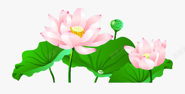 精美中国风手绘荷叶荷花插画素材png免抠素材_88icon https://88icon.com 中国风 植物 竹子荷花荷叶满池塘 荷叶 荷花 莲蓬