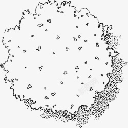 树木树冠叶片黑白风手绘线稿带投影素材