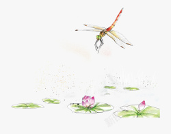 荷塘荷叶中国风手绘水彩蜻蜓荷塘素材高清图片