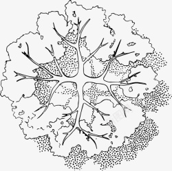 树木枝干黑白风手绘线稿带投影素材