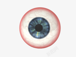 3D眼珠仿真素材