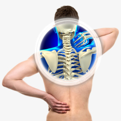 颈椎x光手摸颈椎素材