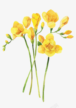 黄色草坪油菜花背景手绘黄色油菜花高清图片