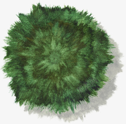 深绿色松树树冠水彩风手绘带投影素材