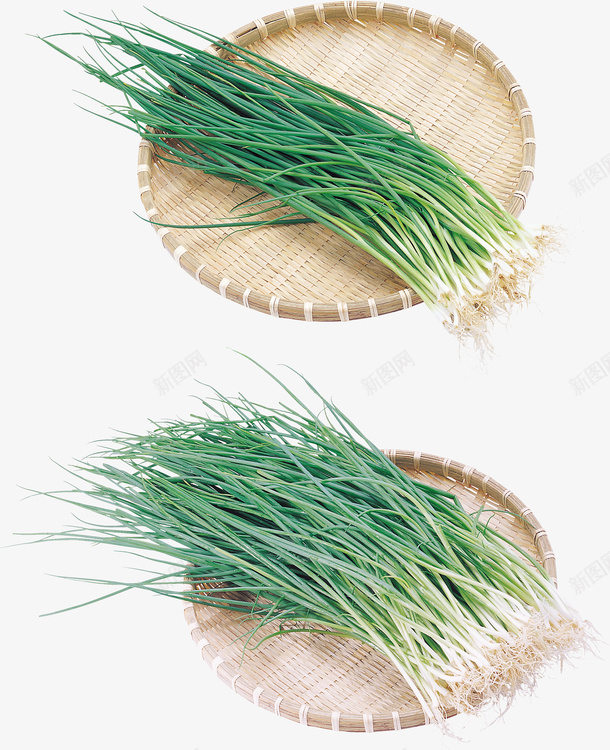 葱蔬菜卖葱时蔬调味品png免抠素材_88icon https://88icon.com 卖葱 时蔬 爱心蔬菜 菜类图片 葱 蔬菜 调味品 香菜