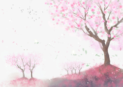 樱花公园春天樱花花瓣樱花树高清图片