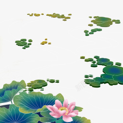 中国风手绘插画装饰荷花荷叶绿色元素素材