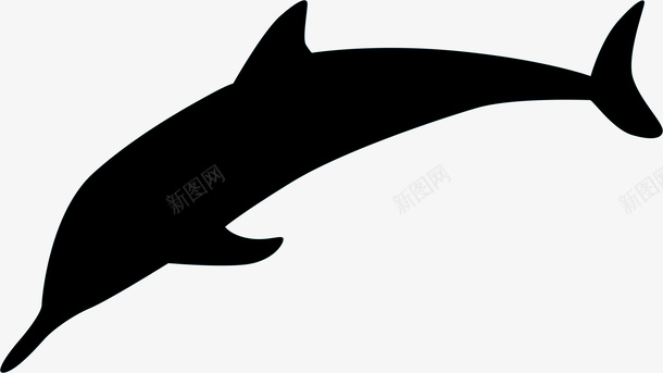海洋动物海豚png免抠素材_88icon https://88icon.com 海豚 鱼类 动物海洋生物 海豚图案