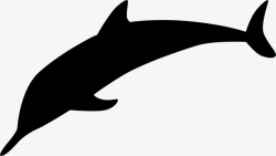 海洋动物海豚素材