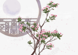 春天樱花花朵树枝窗棂素材