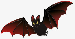吸血蝙蝠吸血蝙蝠蜜符哺乳动物高清图片