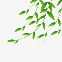 绿枝绿色枝条春天元素高清图片