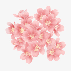 粉色樱花朵朵素材