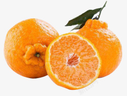 水果橘插图粑粑柑丑橘水果高清图片