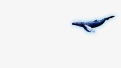 深海鲸鱼元素素材