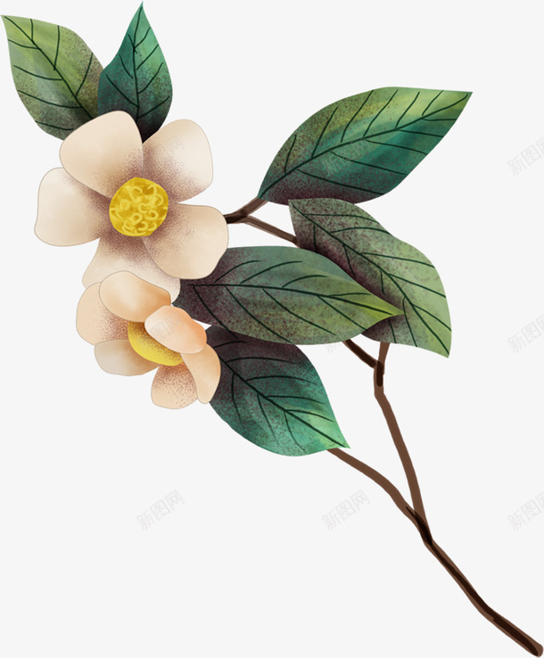 手绘山茶花简约风png免抠素材_88icon https://88icon.com 山茶花 山茶花图 手绘 白色 简约大气 绿叶