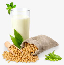 蛋白农产品大豆大豆种植植物蛋白毛豆高清图片