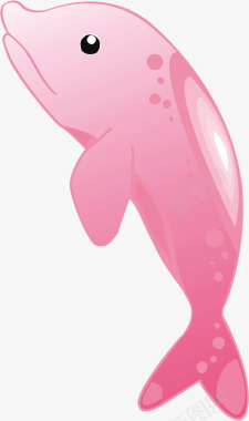 美丽彩虹海豚美丽雷爱大气图标
