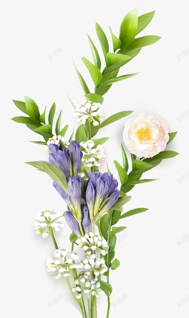 手绘紫色白色花束png免抠素材_88icon https://88icon.com 简约 大气 绿色 白色 花束