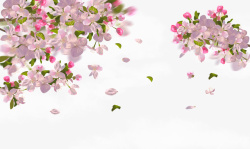 春天手绘樱花花瓣装饰元素素材